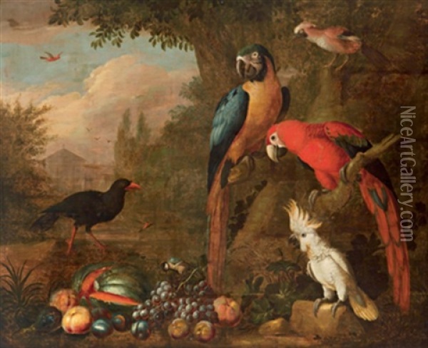 Papageien Und Andere Vogel In Einem Schlosspark Oil Painting - Jakob Bogdani