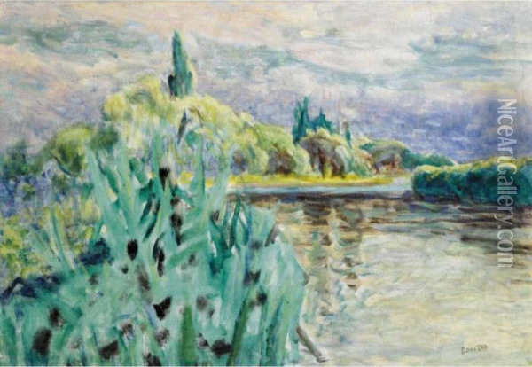 Bord De Riviere - La Seine Oil Painting - Pierre Bonnard
