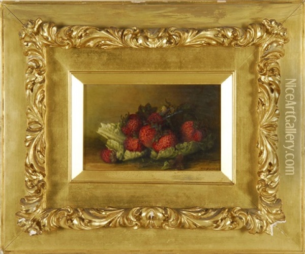 Still Life Of Strawberries On A Bed Of Lettuce Oil Painting - Abbie Luella Zuill