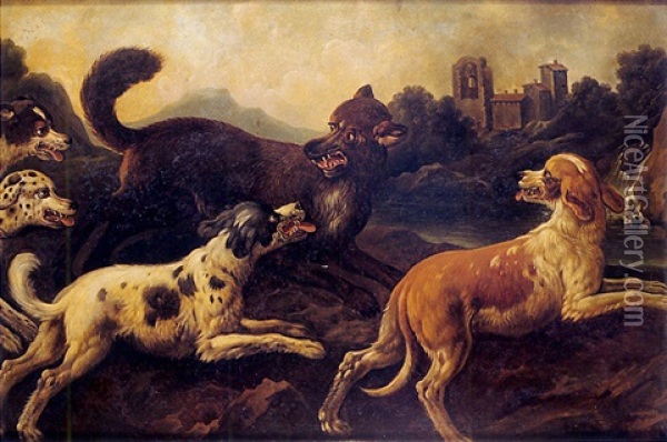 Chiens Attaquant Un Renard Oil Painting - Johann Melchior Roos