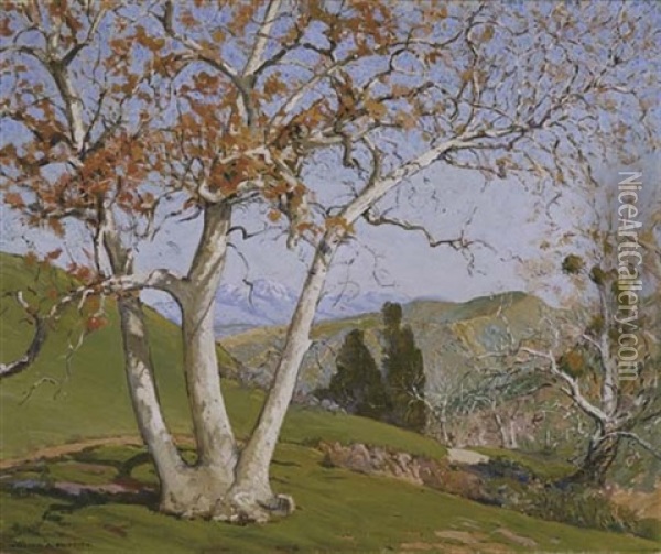 Sycamore Tree - In Laguna Canyon Oil Painting - William Alexander Griffith
