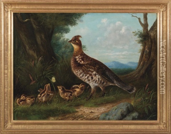 Grouse And Young Oil Painting - Howard L. Hill