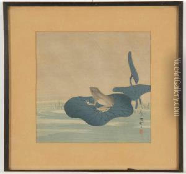 Depicting Frog Resting On A Lotus Leaf Oil Painting - Ohara Koson