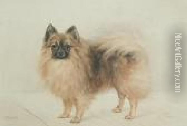 Bijou, A Pomeranian Oil Painting - Binks, R. Ward