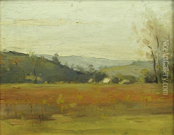 Rural Landscape Oil Painting - Aurel Baesu