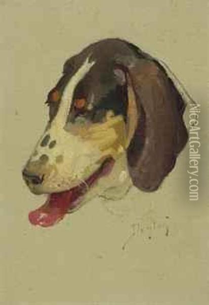 Study Of A Dog Oil Painting - W. Herbert Dunton