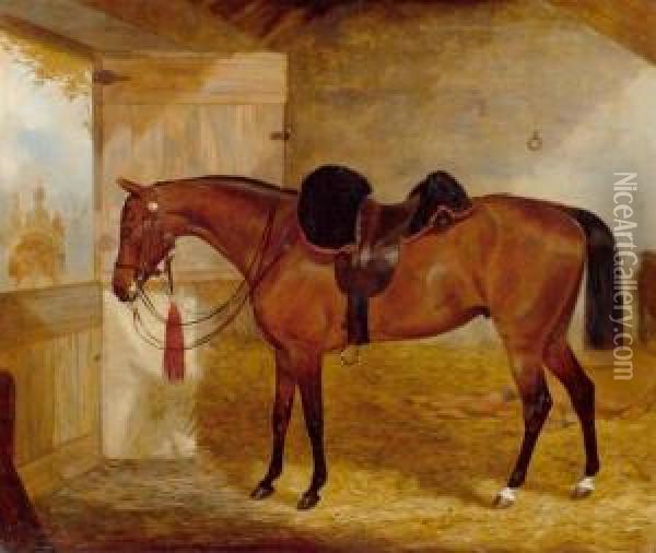 Horse In A Stable With View Of Castelwood Avenue Oil Painting - William Osborne