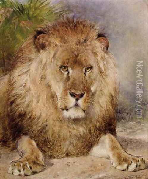 Lion 2 Oil Painting - William Huggins