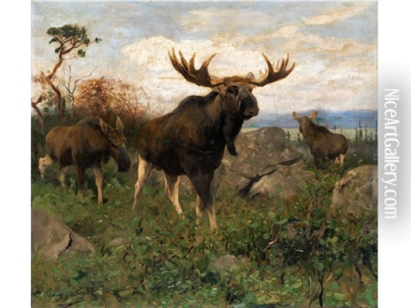 Elche In Sommerlicher Landschaft Oil Painting - Wilhelm Friedrich Kuhnert
