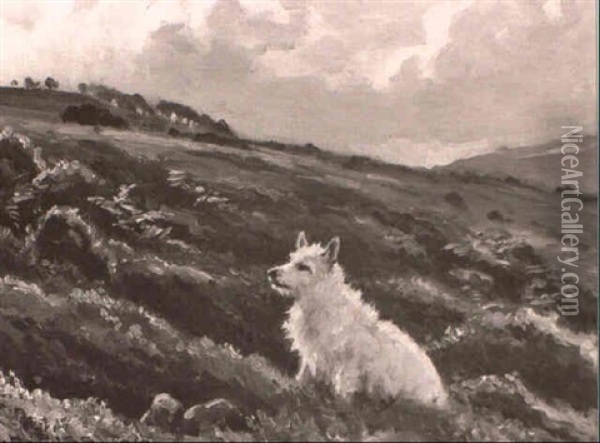 The West Highland Terrier, `cappie' Oil Painting - Ernest Higgins Rigg