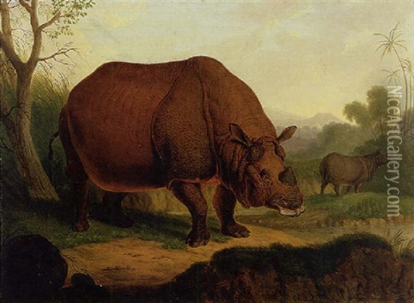 A Rhinoceros Oil Painting - Christian Wilhelm Karl Kehrer