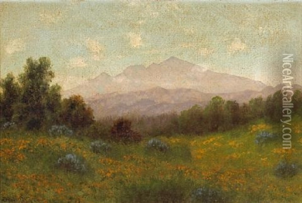 Poppies With Mt. Tamalpais In The Distance Oil Painting - Charles Dorman Robinson