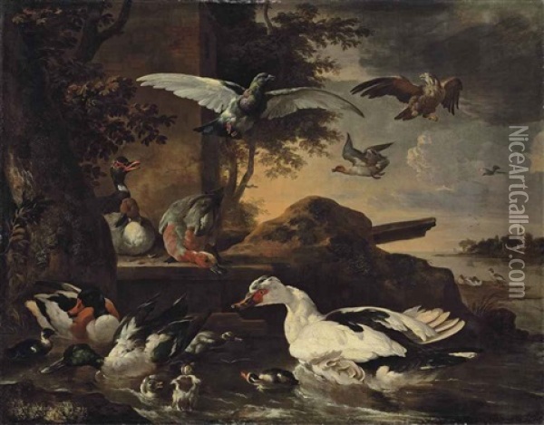 A Shoveler, A Muscovy Duck, A Mallard, Pochards And Other Waterfowl With Ducklings On The Banks Of A River, With A Pigeon And A Bird Of Prey In The Air Oil Painting - Melchior de Hondecoeter