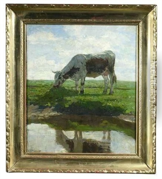 Grasende Kuh Am Ufer Eines Gewassers Oil Painting - Victor Weishaupt