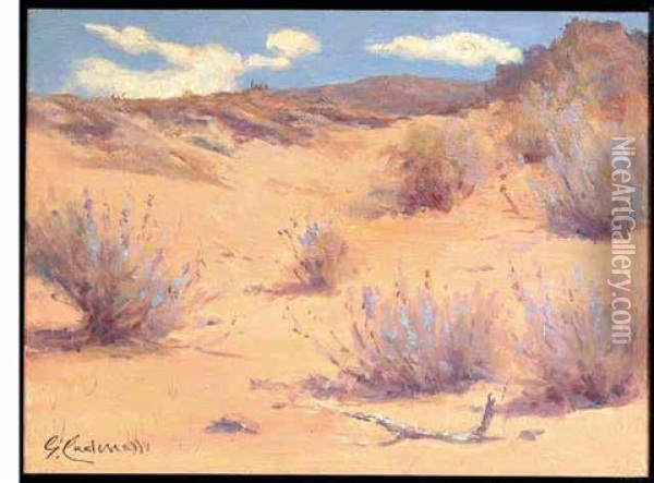 Desert Clouds Oil Painting - Giuseppe Cadenasso