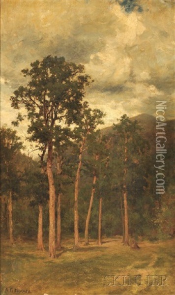 Landscape With A Stand Of Trees And Distant Mountain Oil Painting - Andrew Fisher Bunner