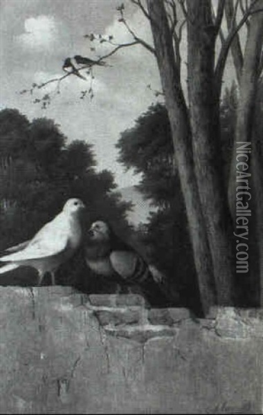 Pigeons On A Fence Oil Painting - Michelangelo Meucci