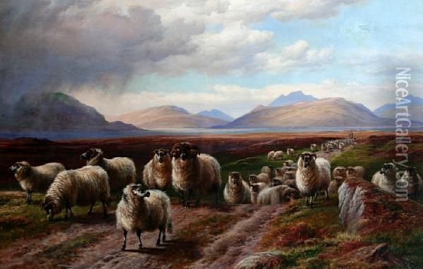 Drover And Sheep On A Road In The Scottish Isles Oil Painting - Charles Jones