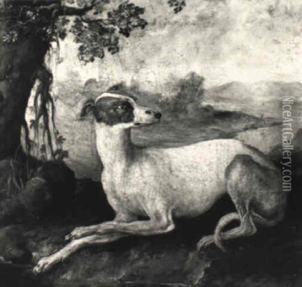 Bildnis Eines Windhundes Oil Painting - Philipp Ferdinand de Hamilton