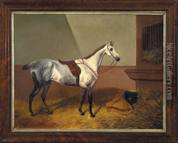 Gray Horse Feeding Oil Painting - Colin Graeme