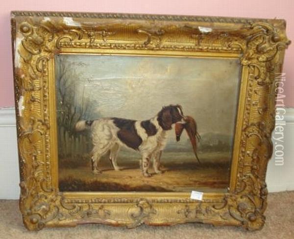 Spaniel And Pheasant Oil Painting - William Garland