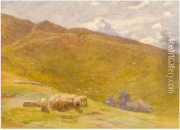 Sheep Grazing On The Uplands Oil Painting - Arthur Winter Shaw