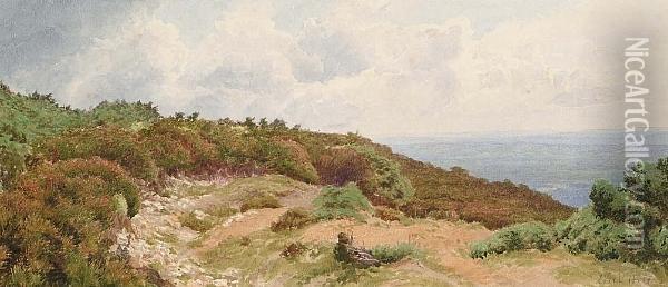 Leith Hill, Surrey Oil Painting - Charles Topham Davidson