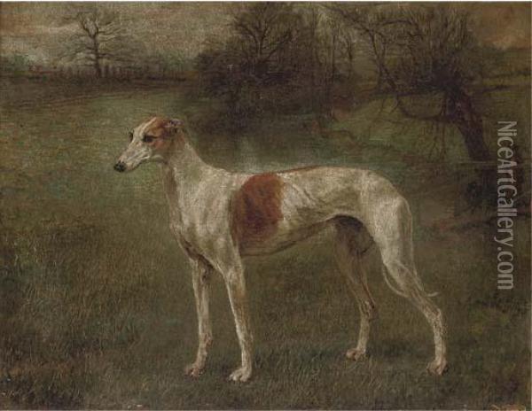 A Prize Greyhound In A Landscape Oil Painting - Arthur Wardle