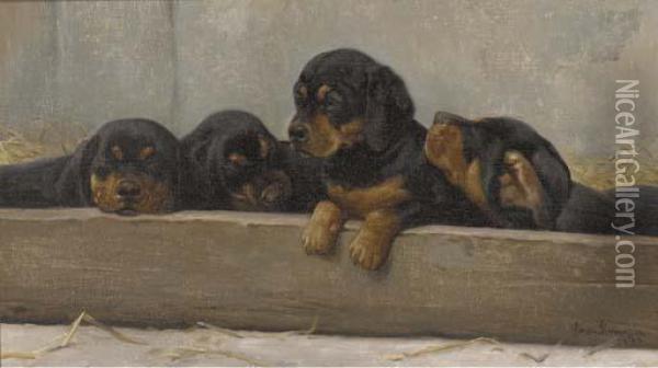 Puppies Oil Painting - Simon Simonson