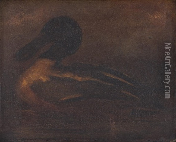 Spoonbill Duck Oil Painting - Robert Reginald Whale