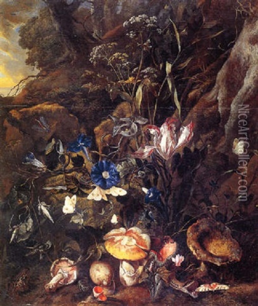 Forest Floor Still Life With Wild Flowers, Mushrooms, Butterflies, A Snake, A Frog, And A Dragonfly Oil Painting - Otto Marseus van Schrieck