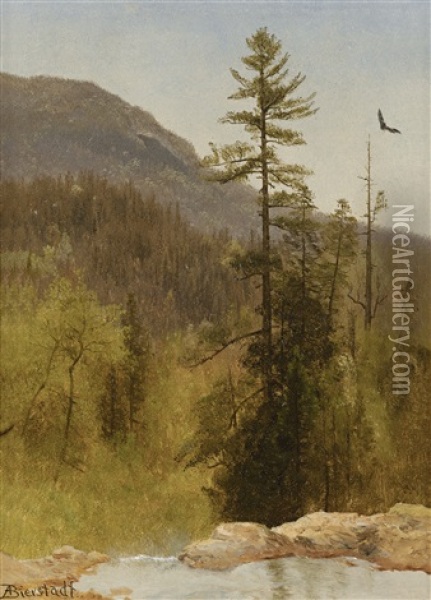 White Mountains, New Hampshire Oil Painting - Albert Bierstadt