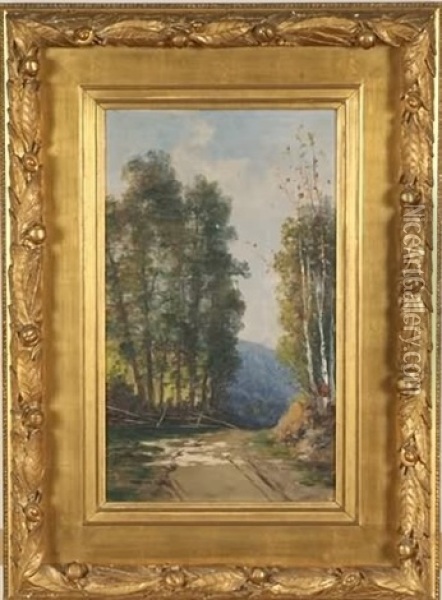 Birch Trees Along A Dirt Road Oil Painting - William Henry Hilliard