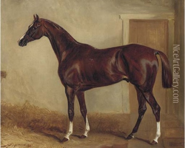 A Bay Hunter In A Stable Oil Painting - John E. Ferneley