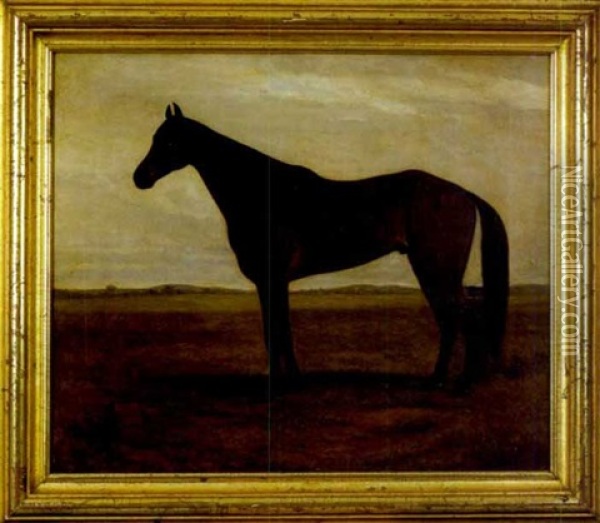 A Study Of A Horse Oil Painting - Edwin C. Forbes