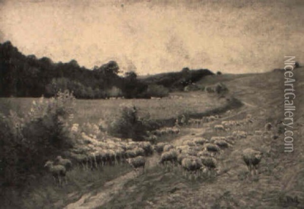 Sheep Grazing Along A Meadow Path Oil Painting - Edouard Pail