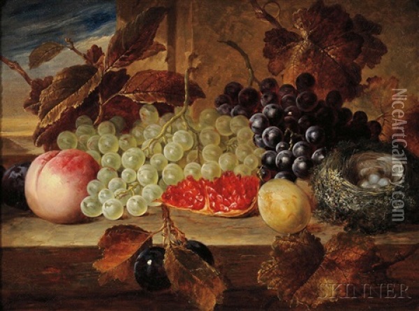 Still Life With Fruit And Bird's Nest Oil Painting - George Lance