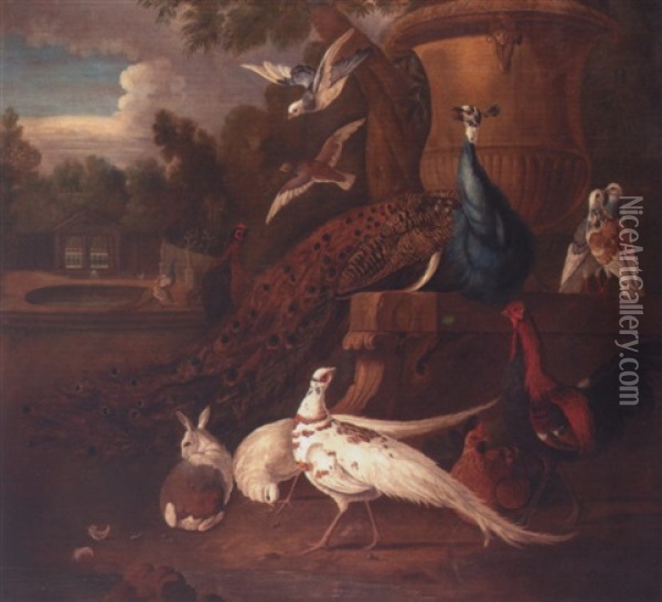 Peacocks, White Pheasants, Doves, A Hen, A Cockerel, A Rabbit, Together In A Parkland Landscape Oil Painting - Pieter Casteels III