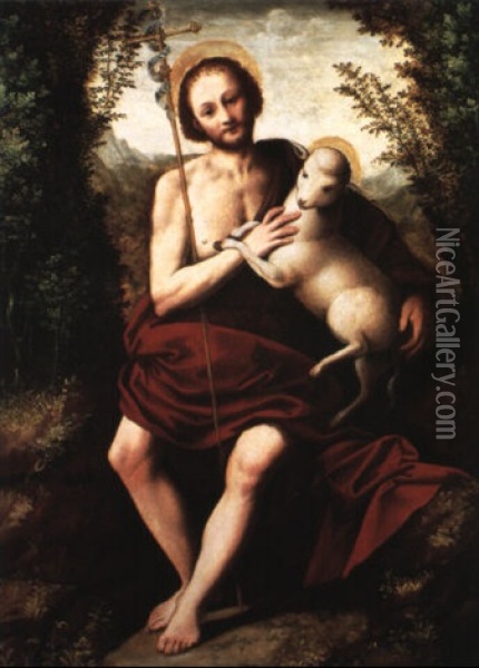 Saint Jean Baptiste Oil Painting - Bernardino Lanino