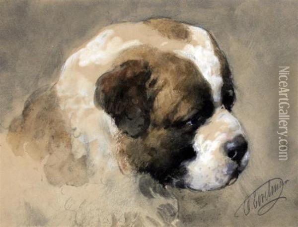 Head Of St Bernard Puppy Oil Painting - Otto Eerelman