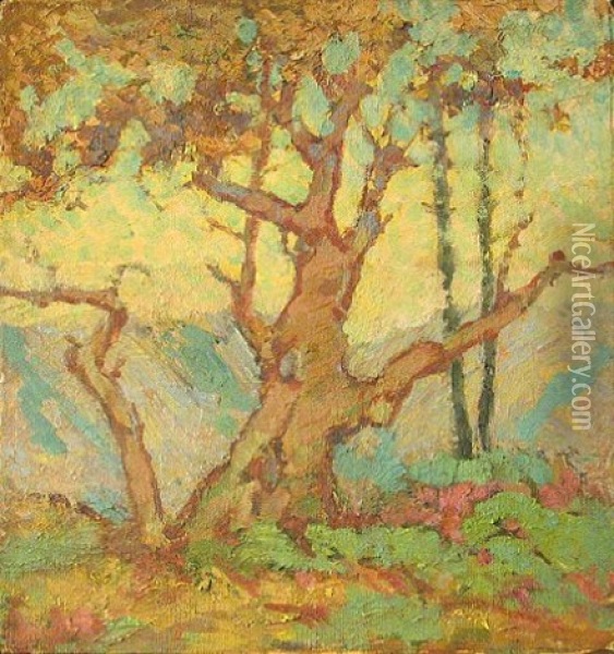Tree (study) Oil Painting - Calthea Campbell Vivian