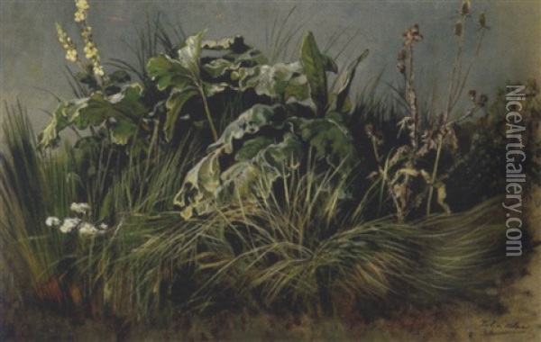 Wiesenstuck (u.a. Huflattich) Oil Painting - Julius von Blaas