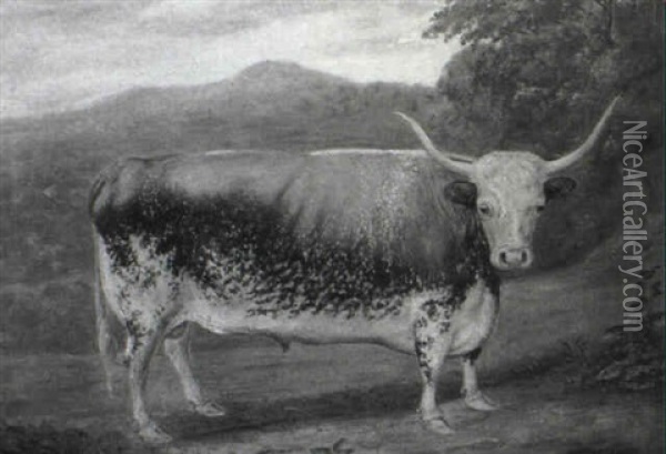 A Liver And White Longhorn Bull In A Landscape Oil Painting - E.F. Welles