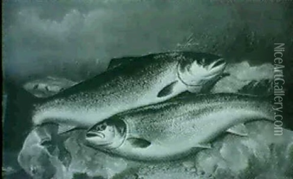 Two Salmon Oil Painting - John Bucknell Russell