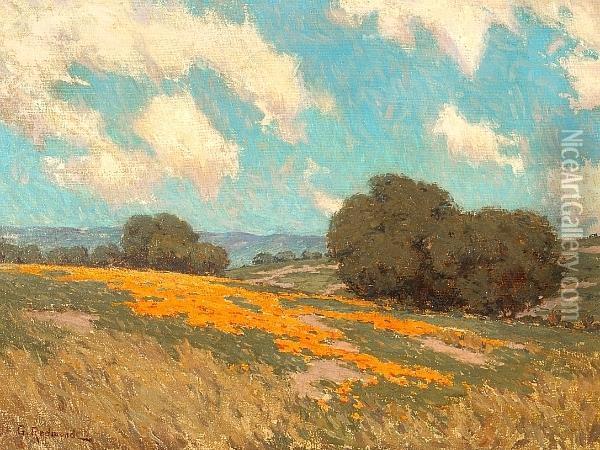 California Poppies Oil Painting - Granville Redmond