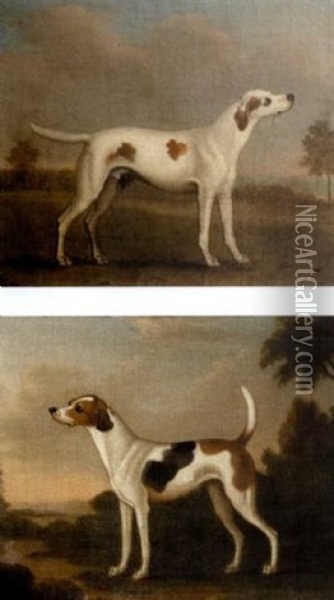 Hounds In A Landscape (pair) Oil Painting - James Seymour