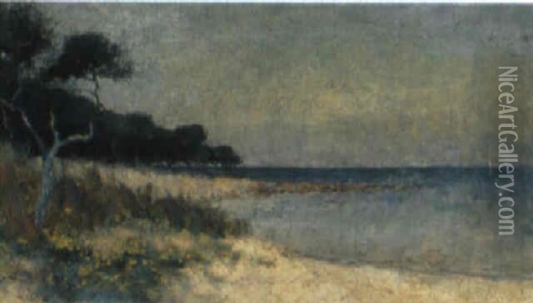 Ricketts Point Near Sandringham Oil Painting - Jessie Laver Evans