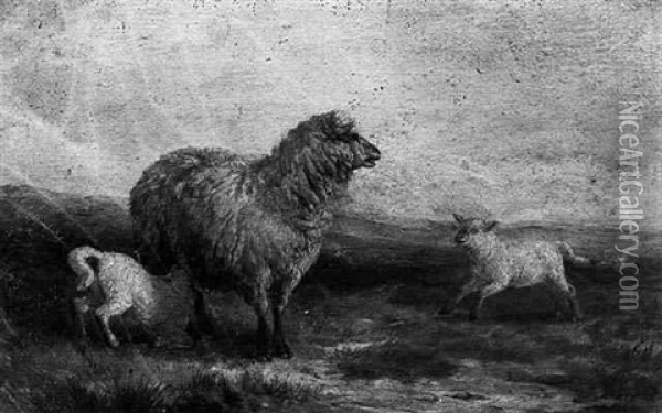 A Sheep With Lambs In A Landscape Oil Painting - Henry Park