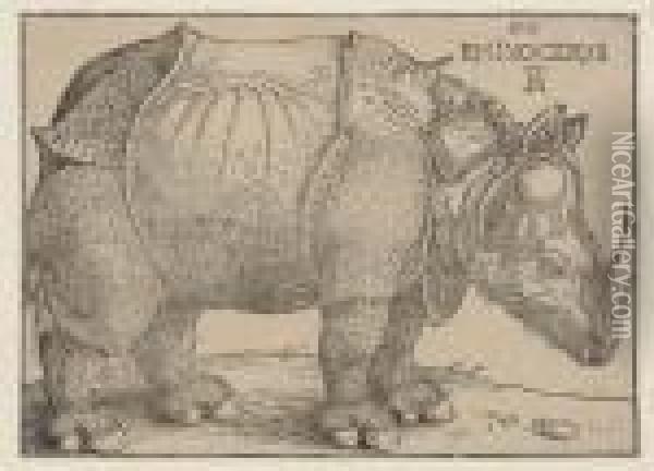 A Rhinoceros Oil Painting - Albrecht Durer