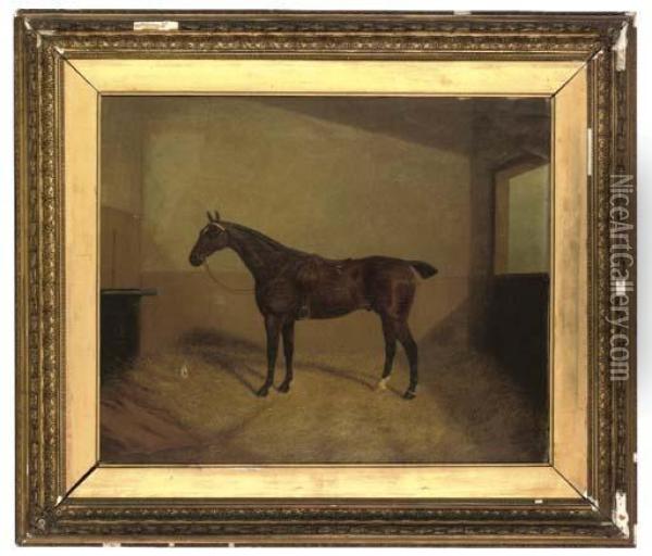 A Bay Hunter In A Stable Oil Painting - A. Clark